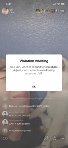TikTok商家自行申诉该如何操作？