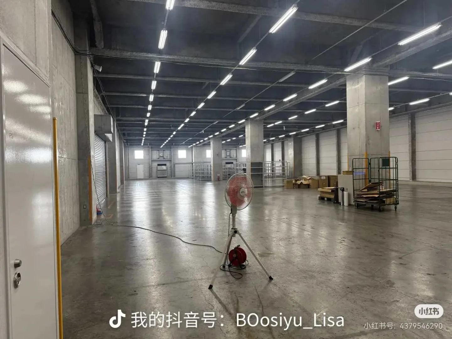 コウ-BSY · 仓库图集 · 图片 4