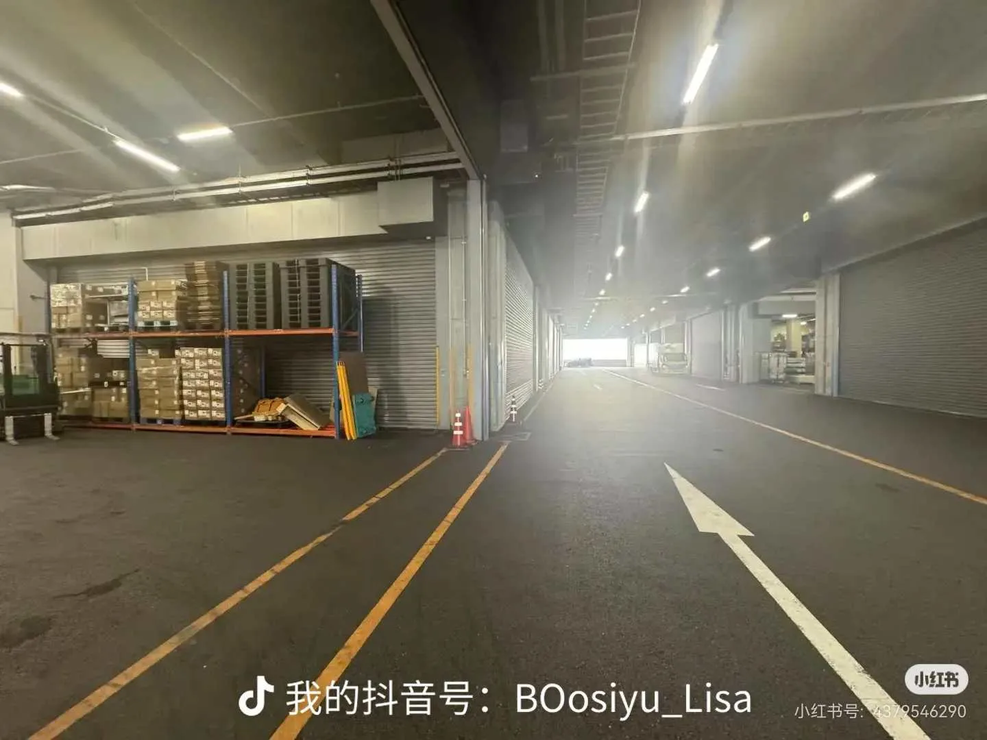 コウ-BSY · 仓库图集 · 图片 2