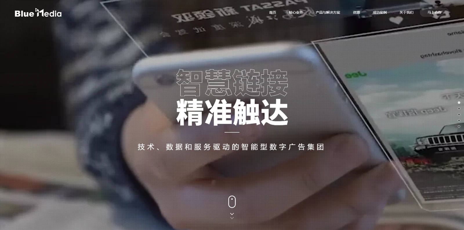 蓝标传媒