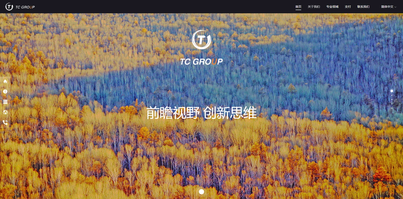 TC GROUP