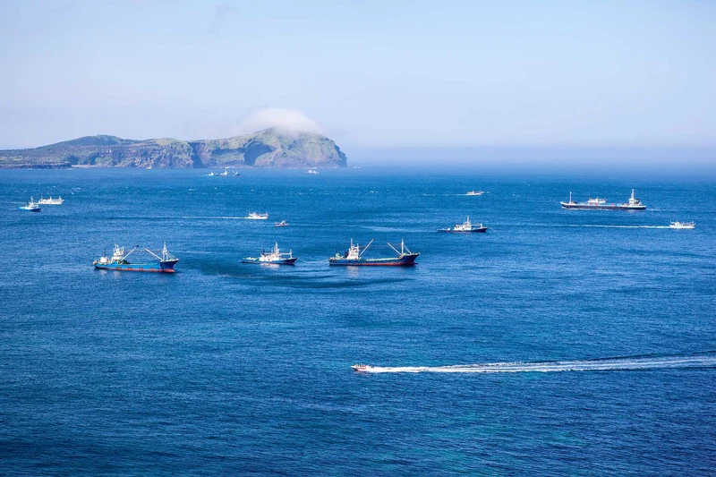 菲联海外