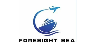 深圳市远见海国际货运代理有限公司