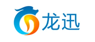 深圳龙迅国际物流有限公司
