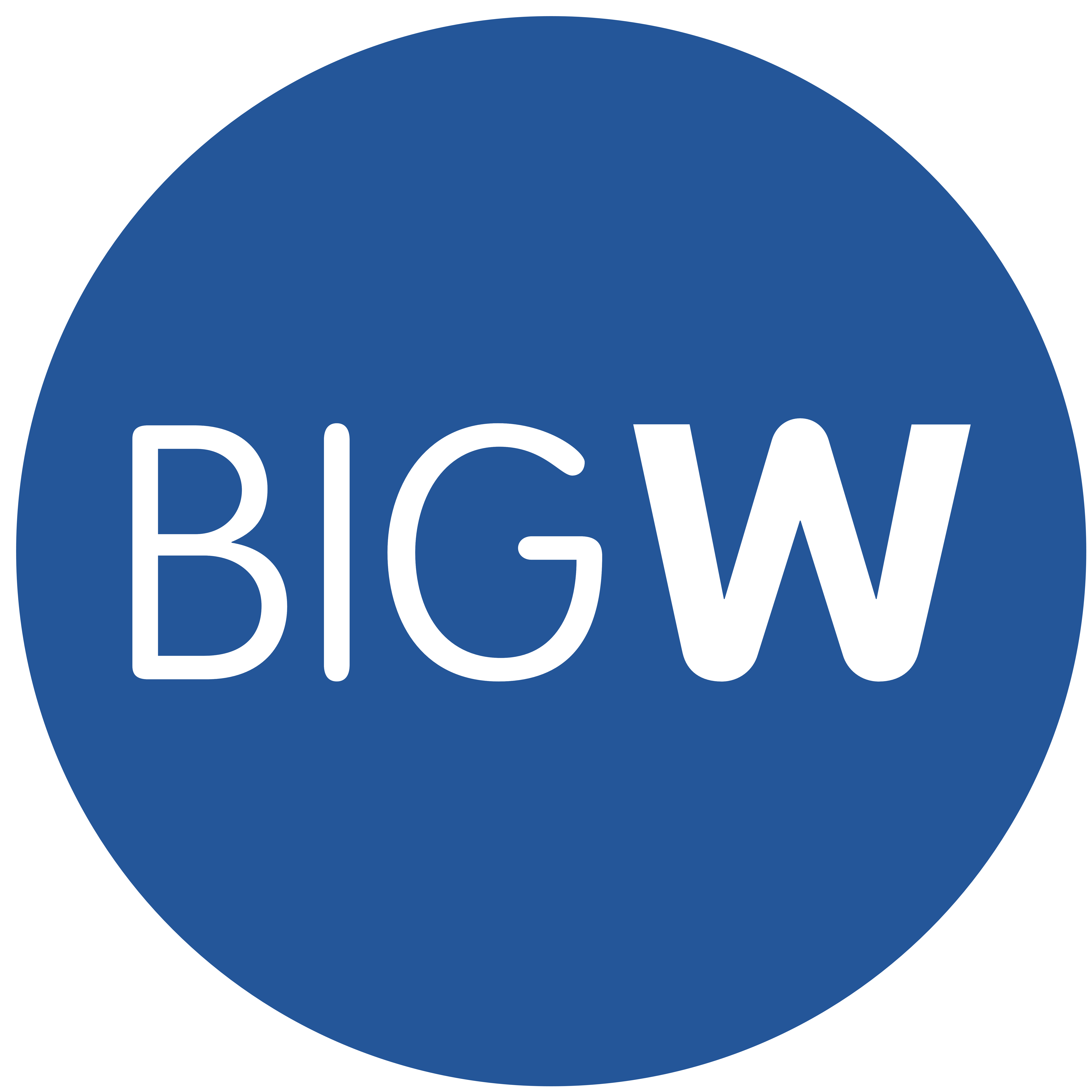 BIG W Logo
